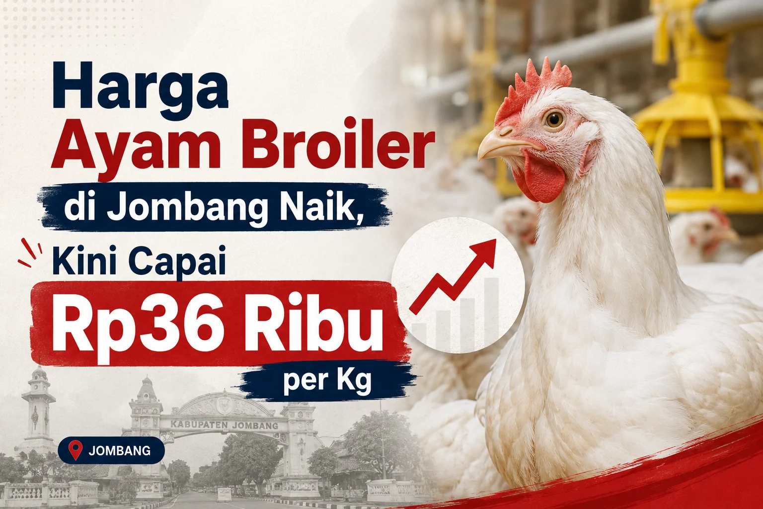 Harga Ayam Broiler di Jombang Naik